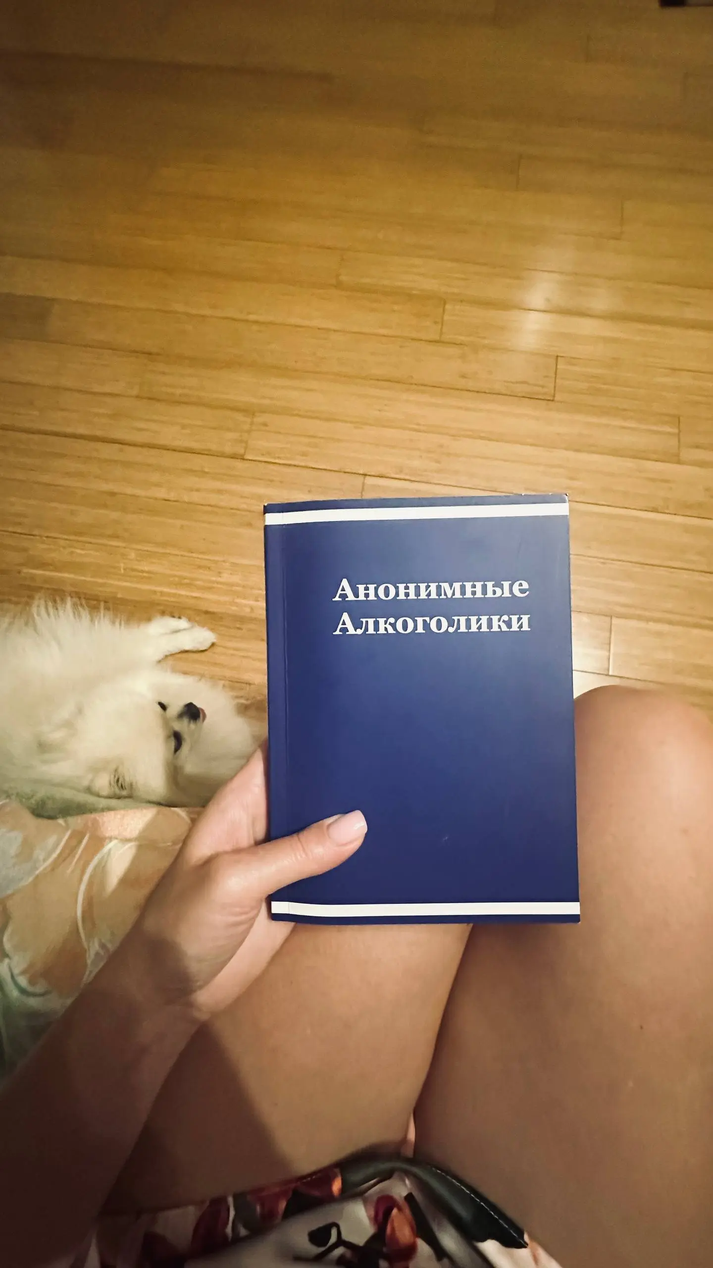 Вот такая книга появилась у меня дома. Синяя, про анонимных алкоголиков.
Вы читали эту книгу? 🤔 | Сетка — социальная сеть от hh.ru