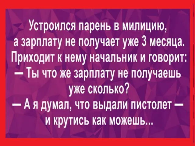 И крутись как можешь | Сетка — социальная сеть от hh.ru