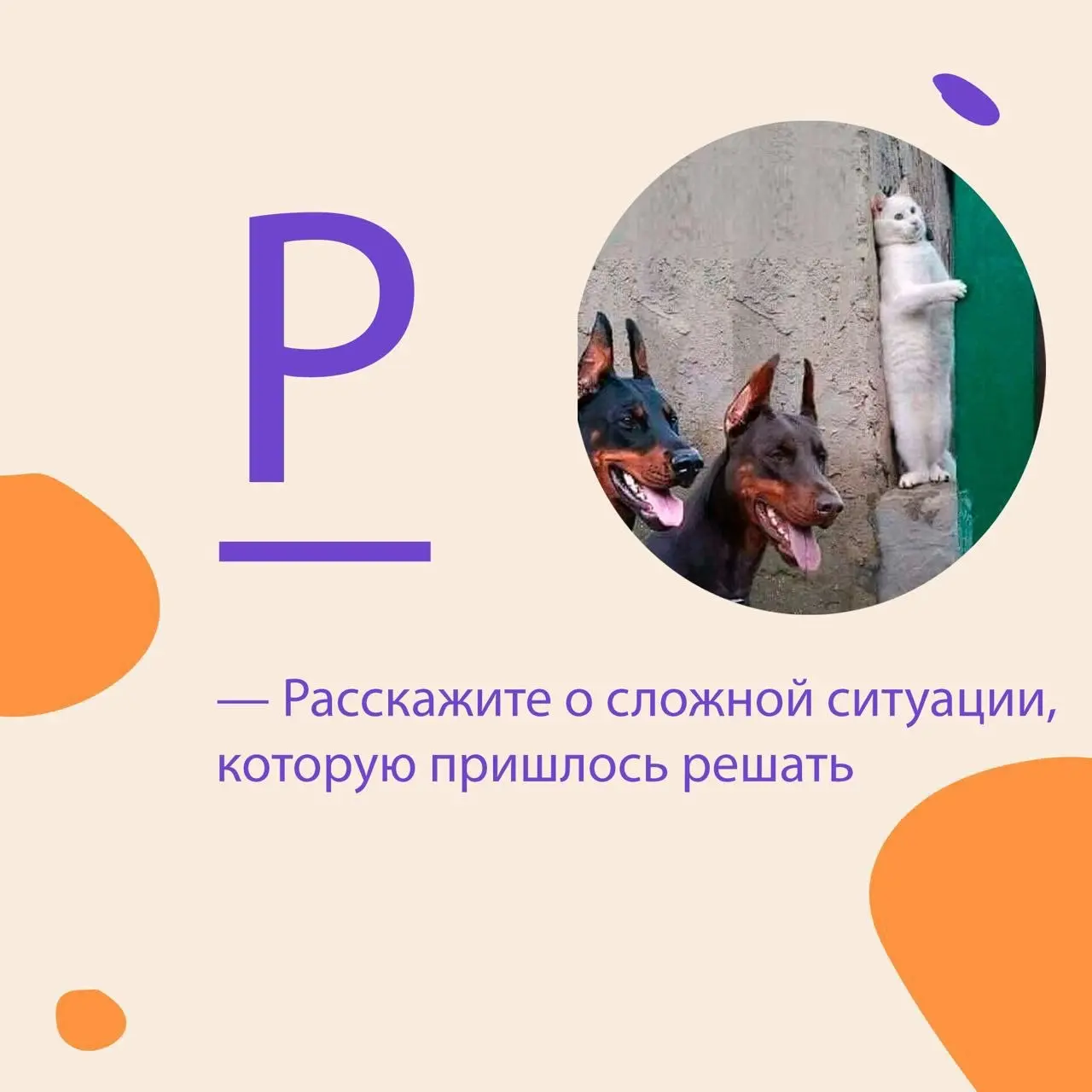 5️⃣ явных преимущества Интервью по компетенциям: модель PARLA
Чем чаще провожу интервью по компетенциям по модели PARLA, тем больше убеждаюсь, что у этого вида интервью есть ряд явных преимуществ:
1️⃣... | Сетка — социальная сеть от hh.ru