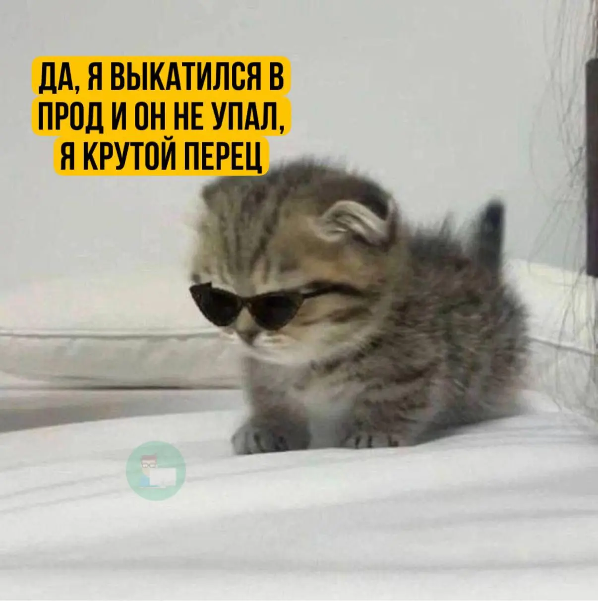 #IT
😂 ПМ 💬 MAX 🛍 Другие каналы
В этом посте были ссылки, но мы их удалили по правилам Сетки | Сетка — социальная сеть от hh.ru