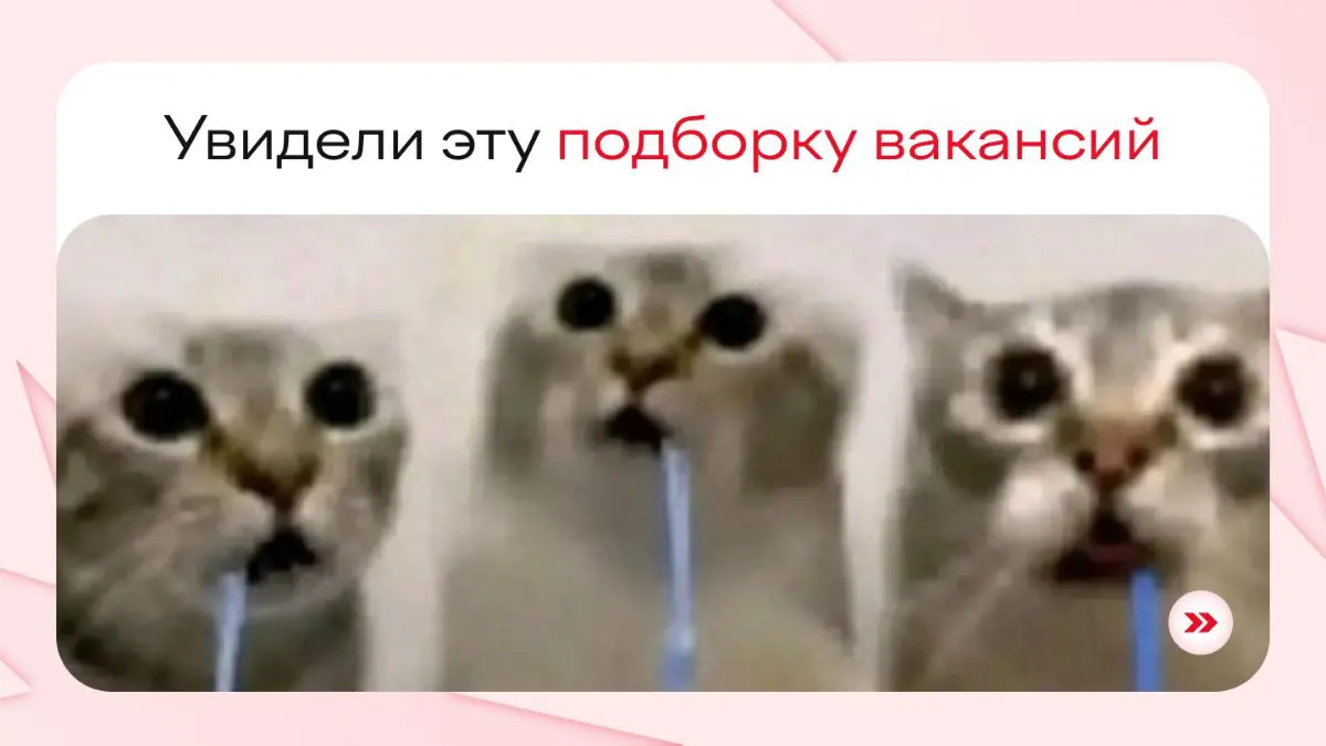 Совмещающие фултайм с универом, вы живы? У кого частичная занятость, к вам вопросов нет | Сетка — социальная сеть от hh.ru