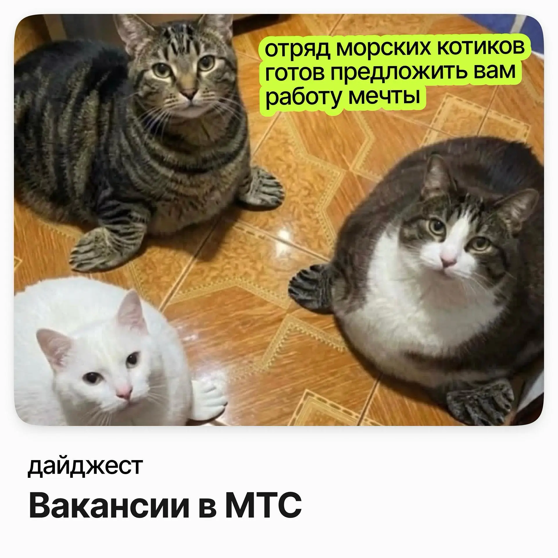 💼💼💼Вакансии в МТС
МТС — ведущий оператор связи в России, развивают телеком нового поколения: объединяют связь, цифровые и финансовые сервисы с возможностями ИИ и задают новые стандарты пользовательско... | Сетка — социальная сеть от hh.ru