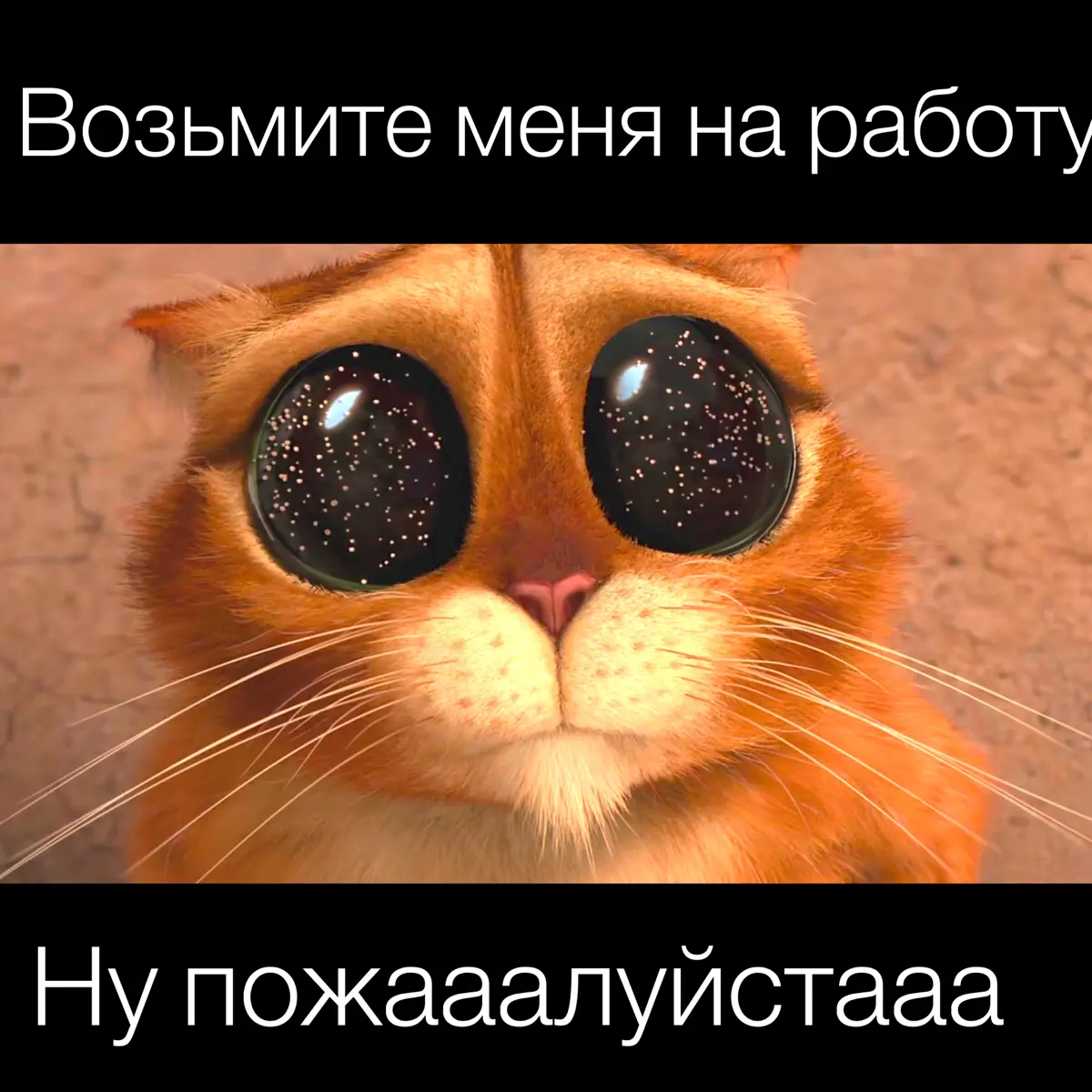 Возьмите меня на работу! | Сетка — социальная сеть от hh.ru