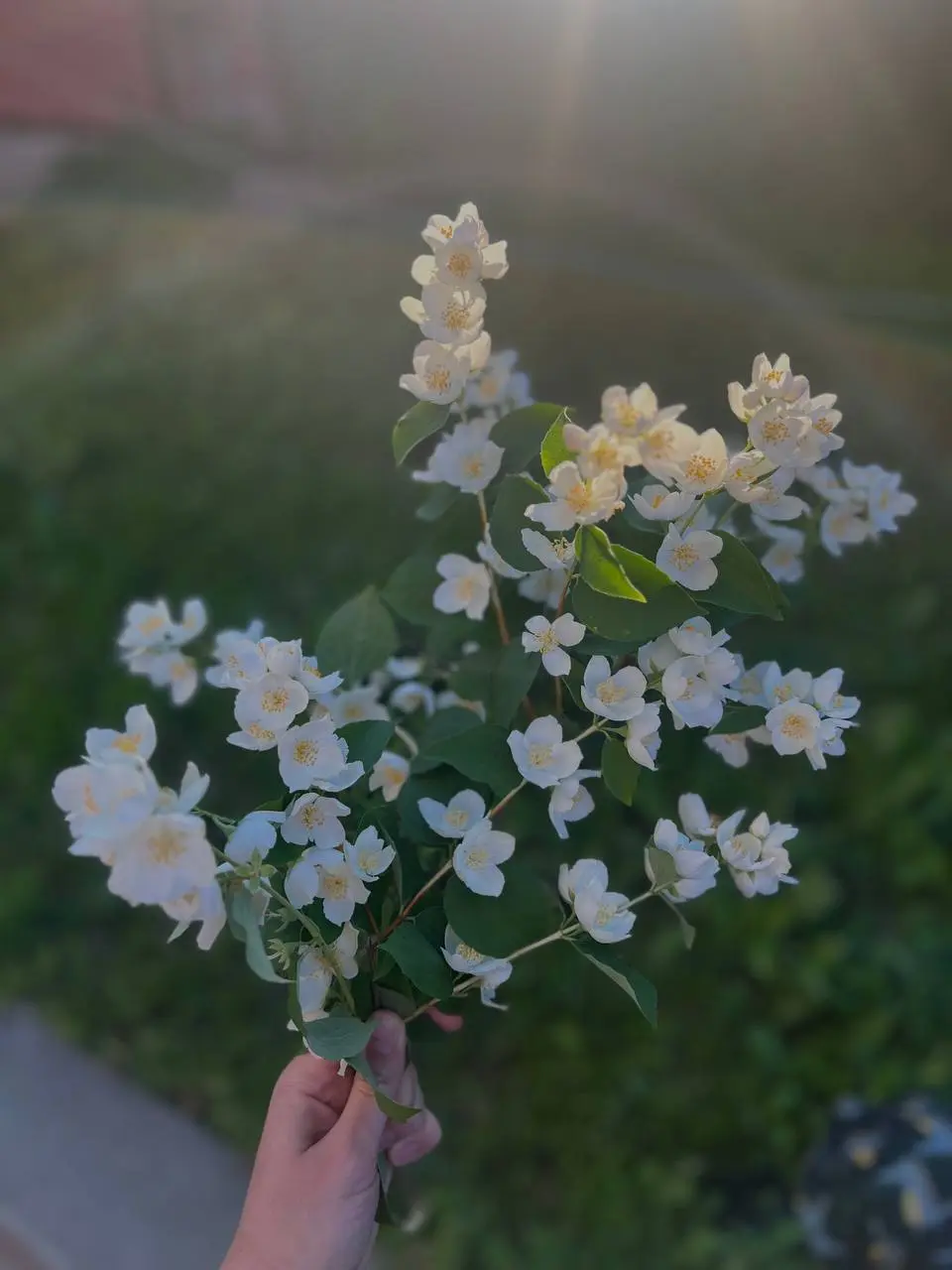 Как же он пахнет🥰 | Сетка — социальная сеть от hh.ru