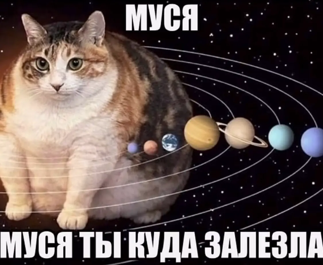 При проведении предварительного поиска обозначения (будущий товарный знак) ты зашел настолько далеко, что оно теперь противоречит кодексу джедаев | Сетка — социальная сеть от hh.ru