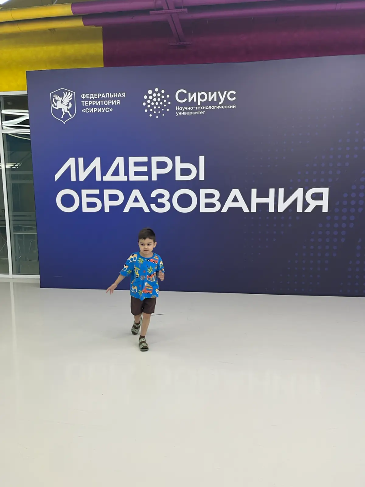Образовательный Центр Сириус | Сетка — социальная сеть от hh.ru