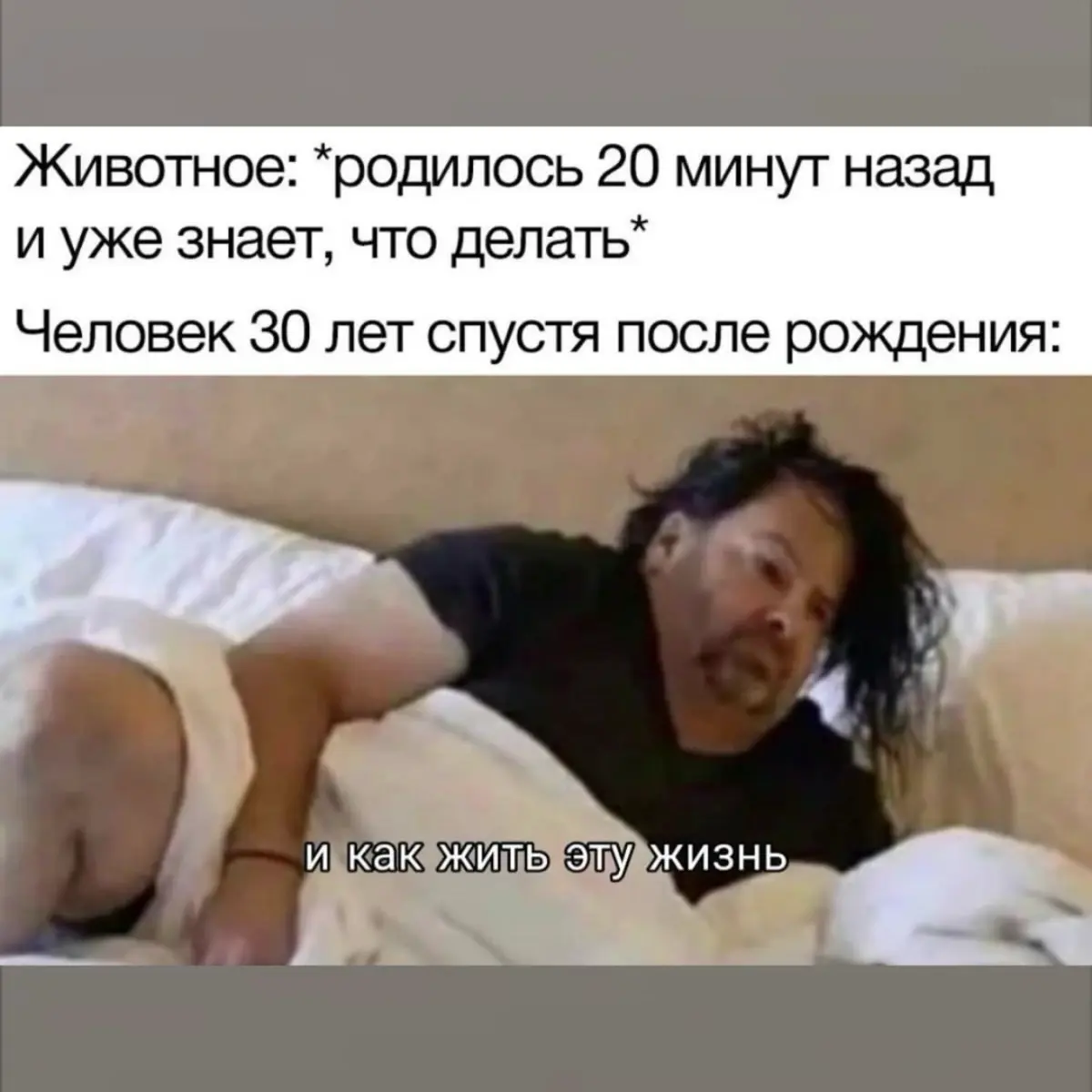 Некоторые могут спать до 30.
#мышление #мотивация #дисциплина #сообщество #бизнес⁣⁣ | Сетка — социальная сеть от hh.ru