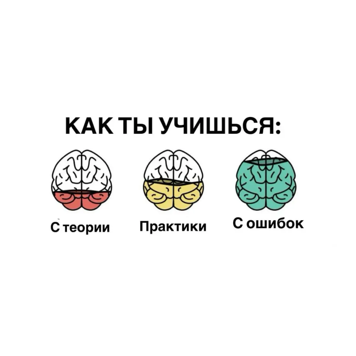 Модель №2.
#теория #практика #ошибки #обучение #навыки | Сетка — социальная сеть от hh.ru