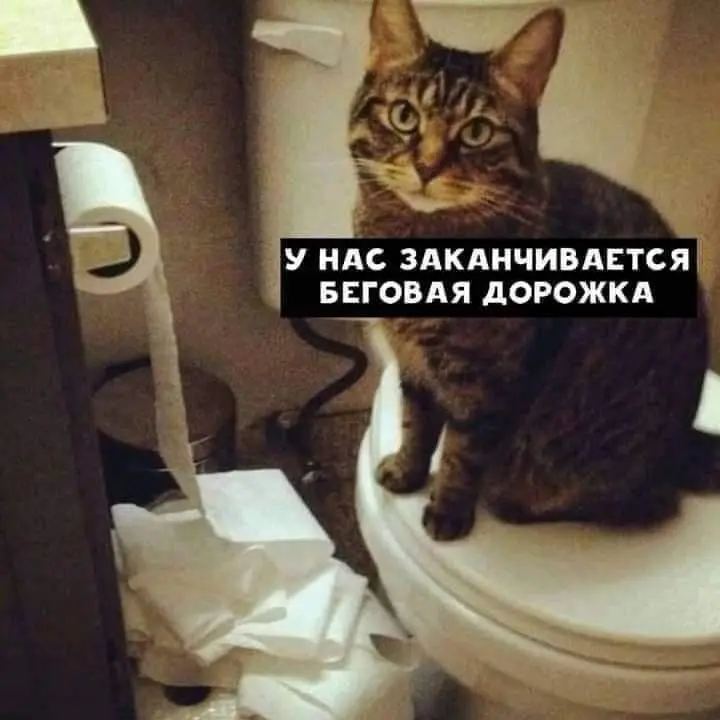 Результаты упражнений 😂😂😂
БЛОГ В ТГ / БЛОГ В MAX
#Юмор #Коты
В этом посте были ссылки, но мы их удалили по правилам Сетки | Сетка — социальная сеть от hh.ru