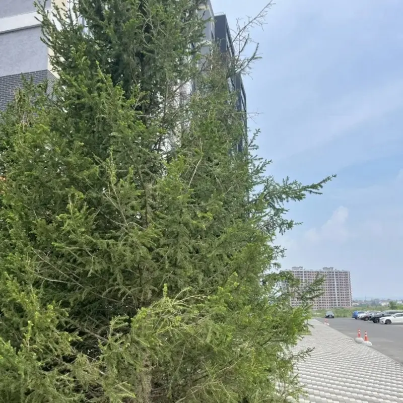 Юлия Бугаева
