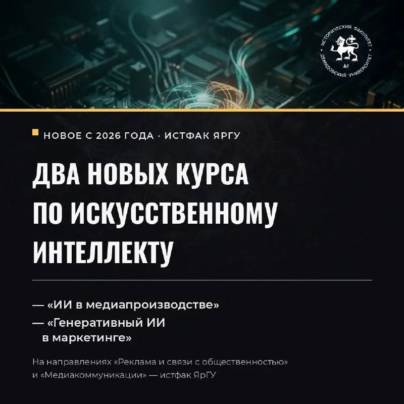Друзья, на связи Илья Егоров | Сетка — социальная сеть от hh.ru