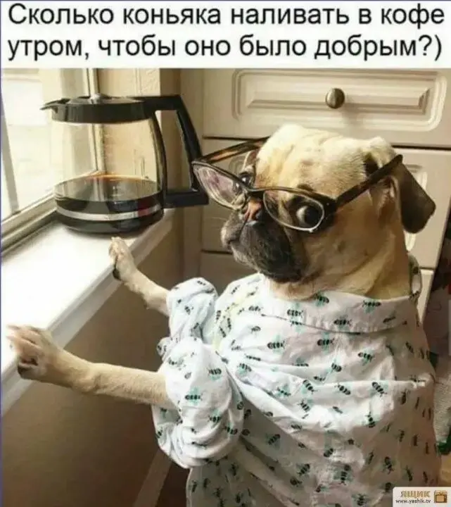 Всемирный доклад о счастье ежегодно публикуется ООН, а точнее, ее подразделением по поиску решений стабильного развития. Финляндия снова заняла первое место, на последнем — Афганистан | Сетка — социальная сеть от hh.ru
