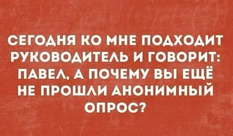 А как у вас проходят опросы? | Сетка — социальная сеть от hh.ru