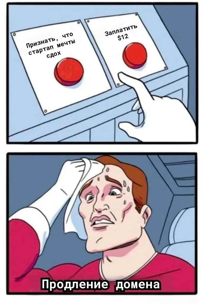100% защиты от скуки. Активируй подписку 🤡 | Сетка — социальная сеть от hh.ru