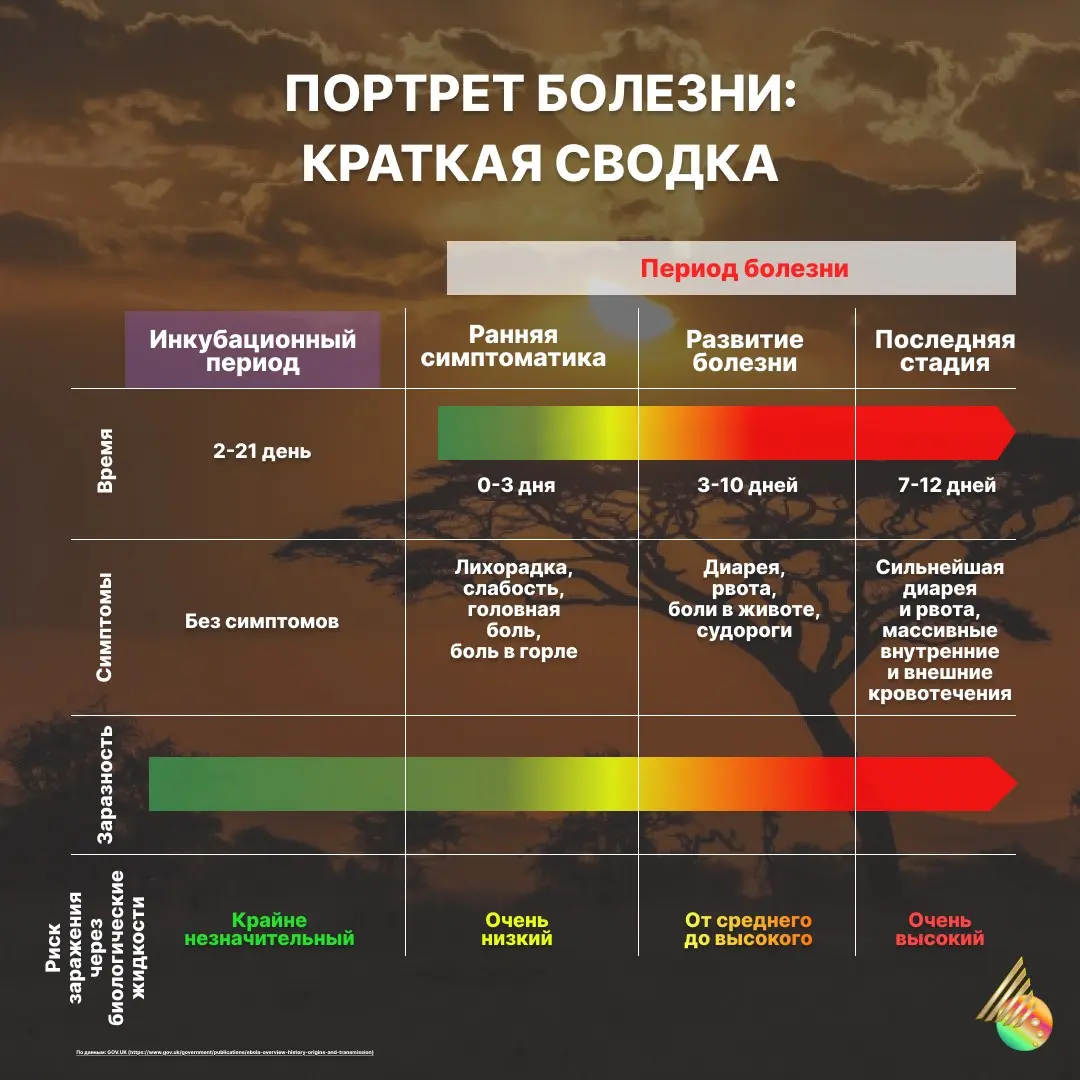 ЭБОЛА: 50 ЛЕТ СПУСТЯ. ПОЧЕМУ ВИРУС ДО СИХ ПОР НЕ ПОБЕЖДЕН? | Сетка — социальная сеть от hh.ru