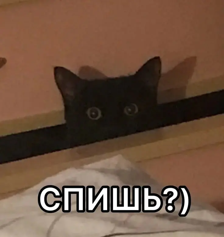 👀 псс, не спишь?
тут выложил бесплатный курс по Pandas с нуля с возможностью практиковаться прямо в браузере | Сетка — социальная сеть от hh.ru