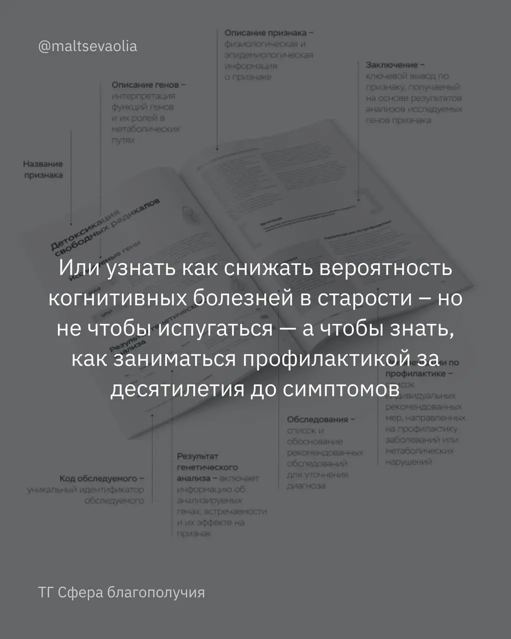 Иду к прайму через изучение своего здоровья
Заметили, как миллениалы, выпивавшие в свои 15 ягуар и закуривавшие LD, сейчас озаботились своим здоровьем? Нет, это не про меня 🤣 | Сетка — социальная сеть от hh.ru