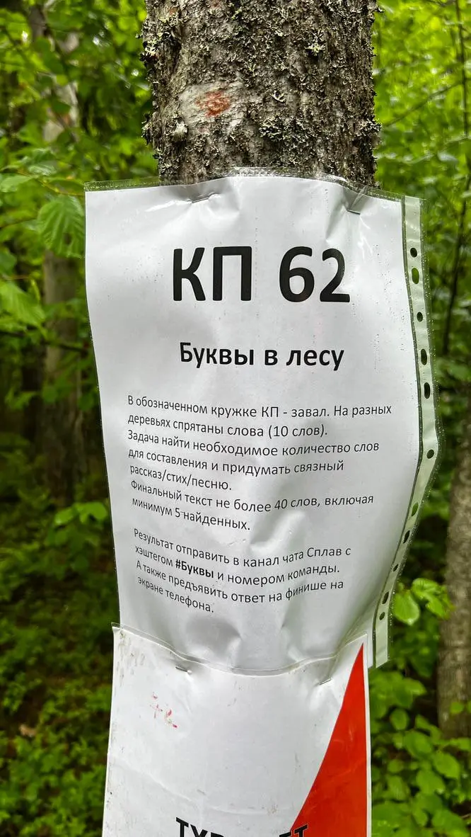 Мне 32. Двое детей. Жизнь в основном из работы и ухода за детьми. Часто говорю друзьям, что у меня пока нет инициативы. Когда выхожу с консультаций - от меня сразу что-то нужно | Сетка — социальная сеть от hh.ru