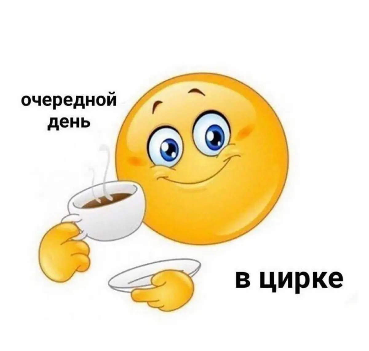 Моё типичное утро на живой витрине HH.ru | Сетка — социальная сеть от hh.ru