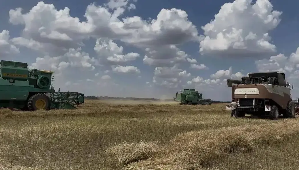🌾 На Ставрополье стартовала жатва
Первыми к уборке ячменя приступили аграрии Левокумского, Петровского, Кировского, Будённовского, Курского, Советского, Красногвардейского и Георгиевского округов | Сетка — социальная сеть от hh.ru