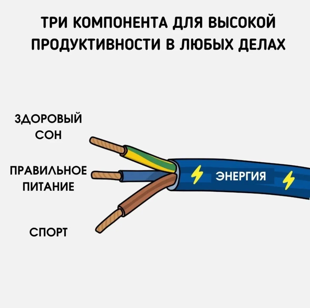 Всем доброго дня!
Потихоньку возвращаюсь в режим🌴
И хочу напомнить про залог хорошей продуктивности ☀️
📍Здоровый сон
📍Нормальное питание
📍И активность даже стабильные 10 000 шагов в день уже дадут сво... | Сетка — социальная сеть от hh.ru