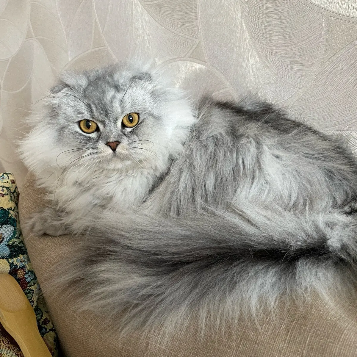 Nina Belkova