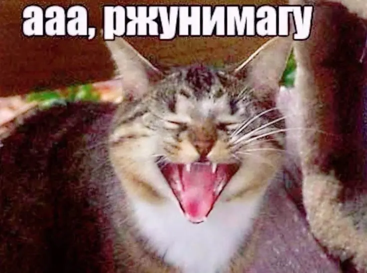 РЖУНИМАГУ — параноики с Хабра окончательно гикнулись ;-) | Сетка — социальная сеть от hh.ru