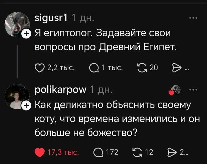 #cats | Сетка — социальная сеть от hh.ru