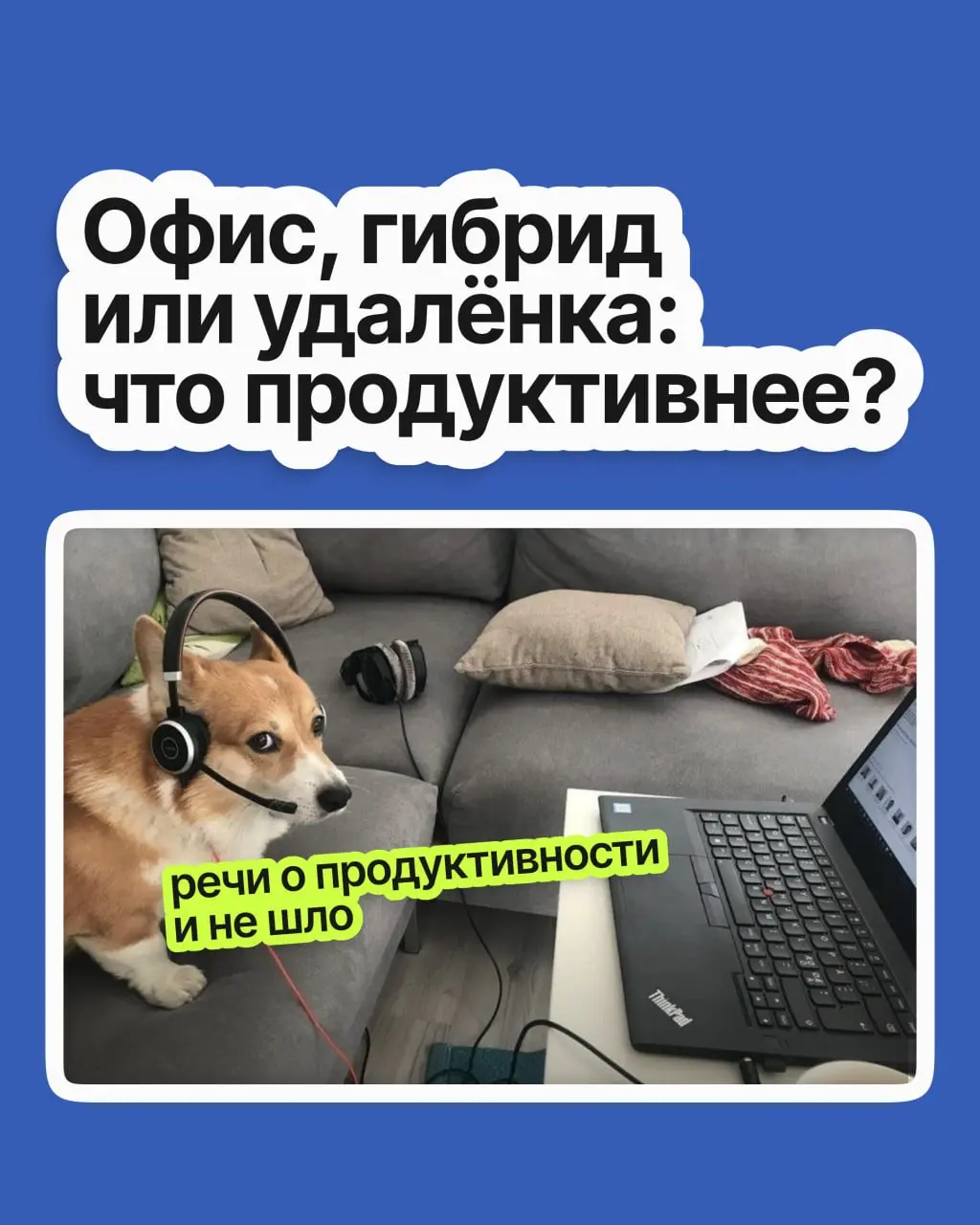 Споры про удалёнку не утихают с ковида: одни уверены, что домашняя работа расхолаживает, другие — что офисная суета и ранние подъёмы плохо сказываются на итоговых результатах | Сетка — социальная сеть от hh.ru