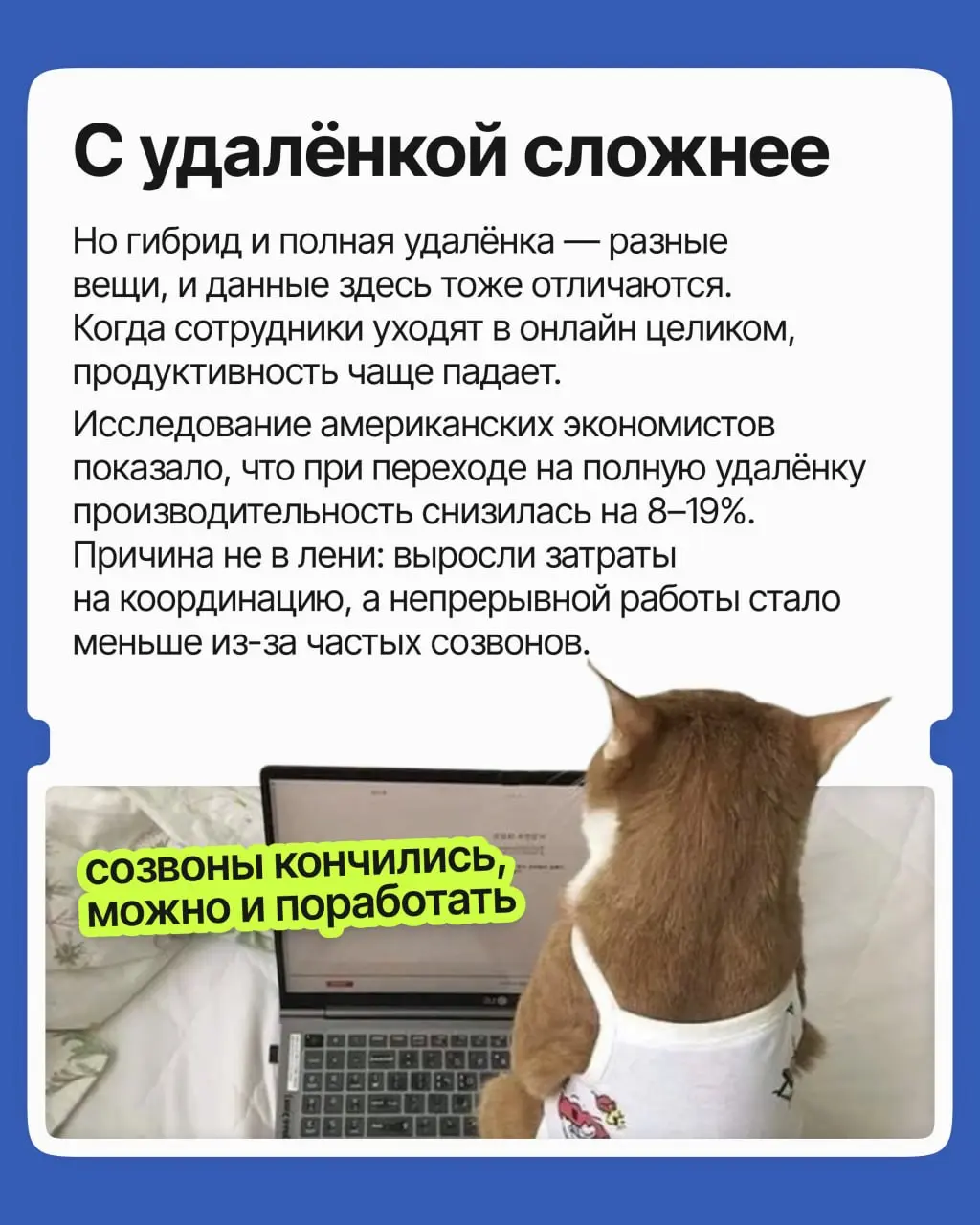 Споры про удалёнку не утихают с ковида: одни уверены, что домашняя работа расхолаживает, другие — что офисная суета и ранние подъёмы плохо сказываются на итоговых результатах | Сетка — социальная сеть от hh.ru