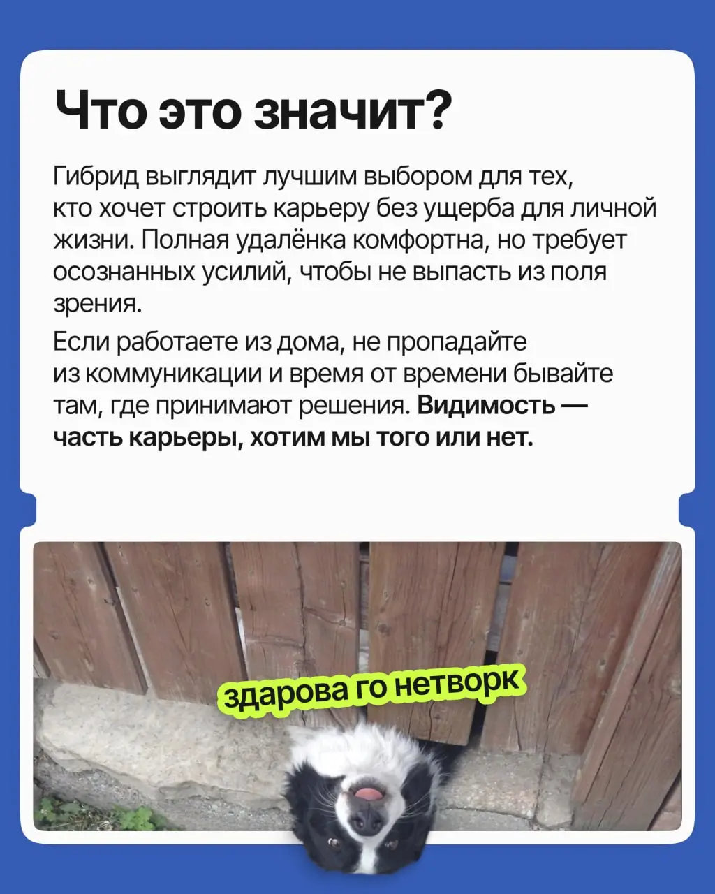 Споры про удалёнку не утихают с ковида: одни уверены, что домашняя работа расхолаживает, другие — что офисная суета и ранние подъёмы плохо сказываются на итоговых результатах | Сетка — социальная сеть от hh.ru