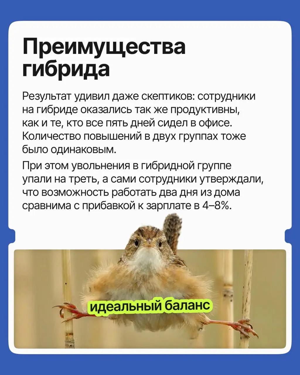 Споры про удалёнку не утихают с ковида: одни уверены, что домашняя работа расхолаживает, другие — что офисная суета и ранние подъёмы плохо сказываются на итоговых результатах | Сетка — социальная сеть от hh.ru