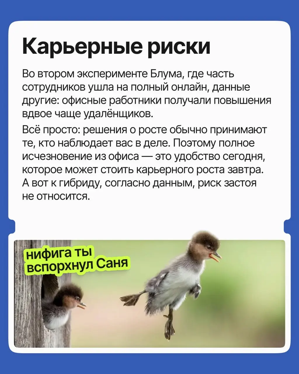 Споры про удалёнку не утихают с ковида: одни уверены, что домашняя работа расхолаживает, другие — что офисная суета и ранние подъёмы плохо сказываются на итоговых результатах | Сетка — социальная сеть от hh.ru