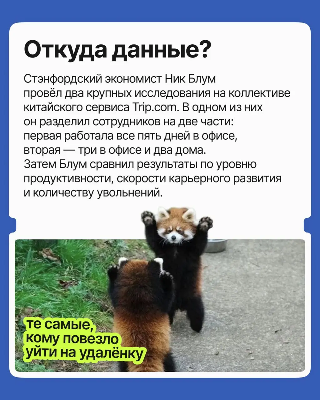 Споры про удалёнку не утихают с ковида: одни уверены, что домашняя работа расхолаживает, другие — что офисная суета и ранние подъёмы плохо сказываются на итоговых результатах | Сетка — социальная сеть от hh.ru