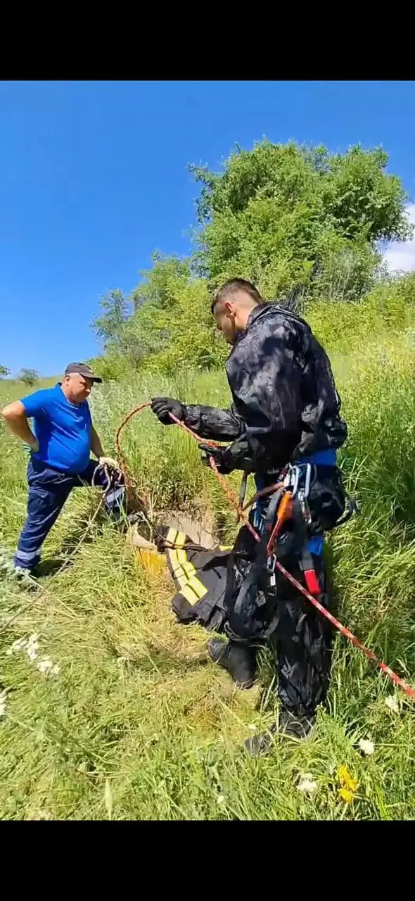 🙏На Новом озере Кисловодска спасатели помогли собаке, провалившейся в открытый колодец
Специалисты оперативно прибыли на место и вызволили животное. К счастью, собака не пострадала | Сетка — социальная сеть от hh.ru