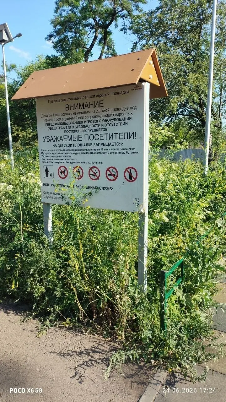 Заросли возле детской площадки в центре Гвардейки. | Сетка — социальная сеть от hh.ru
