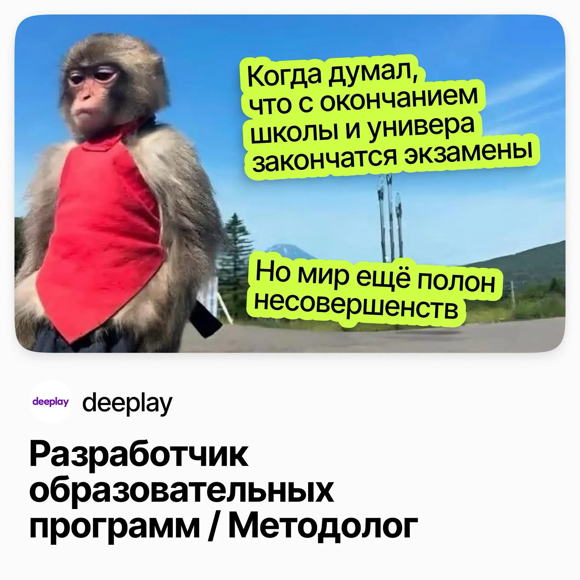 🎓 Разработчик образовательных программ (методолог) / deeplay
deeplay — продуктовая ИТ-компания, которая создаёт системы и решения в сфере интеллектуальных игр | Сетка — социальная сеть от hh.ru