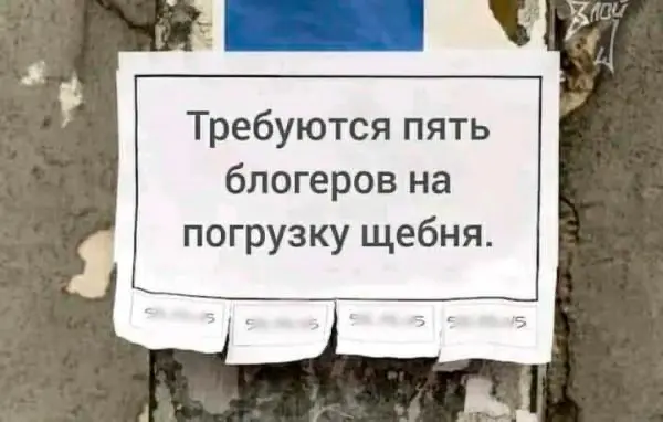Хотели поднять продажи с блогеров  и что? Не вышло? | Сетка — социальная сеть от hh.ru