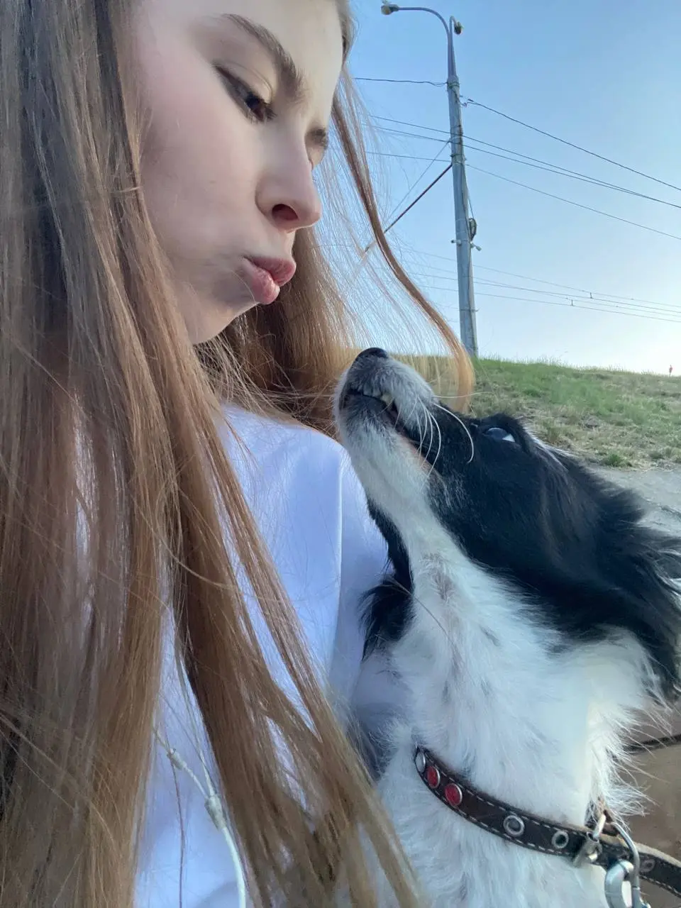 нам пожалуйста лавандовый раф 🐶 | Сетка — социальная сеть от hh.ru