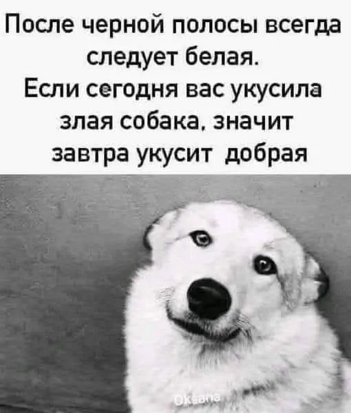 Пятница. | Сетка — социальная сеть от hh.ru