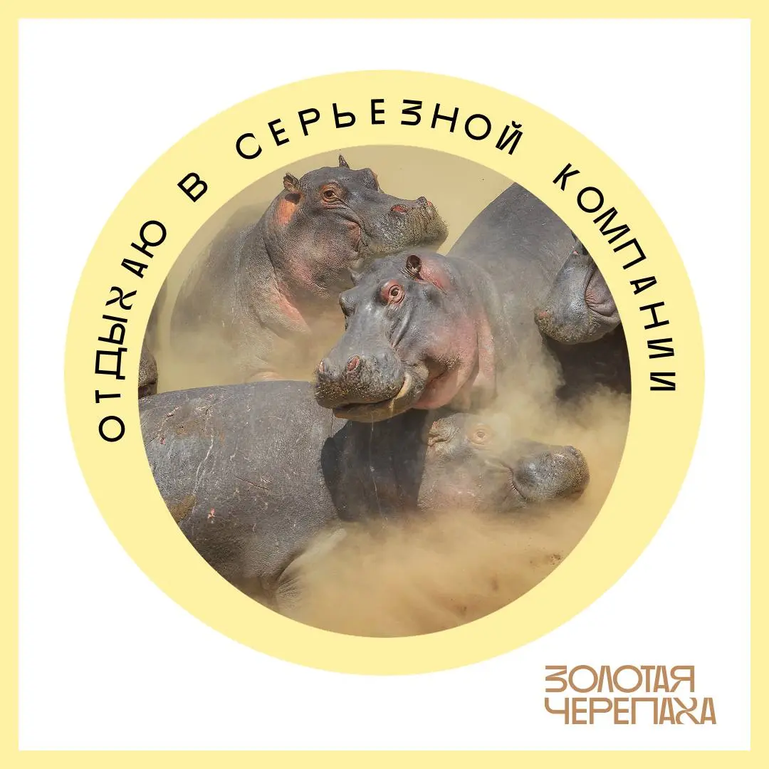 Что первым делом нужно сделать в отпуске? 🤔
Конечно же, поменять аватарку, чтобы никто не отвлекал от важных дел! 🤩
✨ Мы подготовили варианты аватарок под любое настроение в отпуске, вам остается толь... | Сетка — социальная сеть от hh.ru