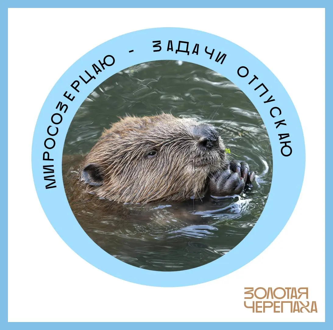 Что первым делом нужно сделать в отпуске? 🤔
Конечно же, поменять аватарку, чтобы никто не отвлекал от важных дел! 🤩
✨ Мы подготовили варианты аватарок под любое настроение в отпуске, вам остается толь... | Сетка — социальная сеть от hh.ru