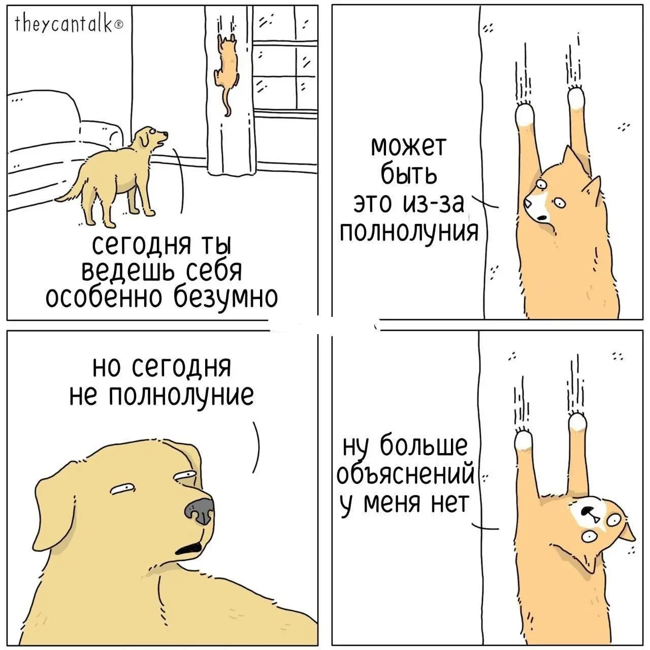 Мастер по объяснениям 😂
БЛОГ В ТГ / БЛОГ В MAX
#Юмор #Коты
В этом посте были ссылки, но мы их удалили по правилам Сетки | Сетка — социальная сеть от hh.ru