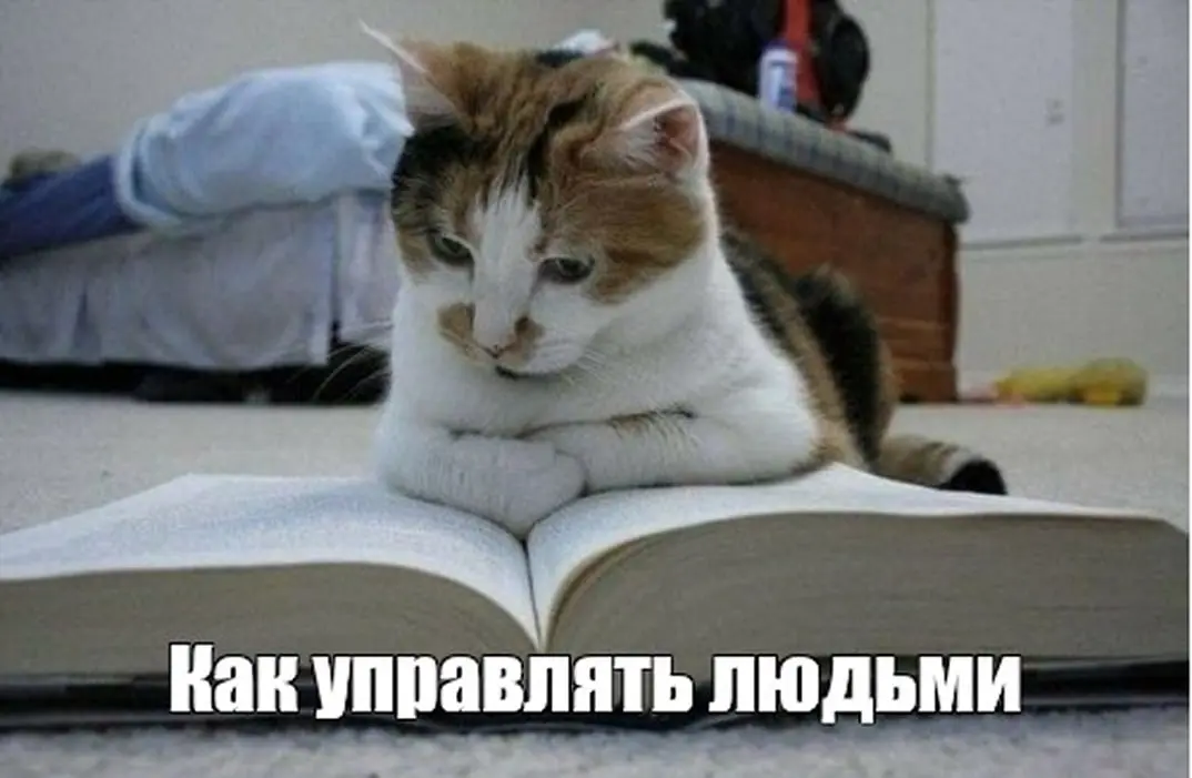 Кто такой управляющий бизнесом и за что он отвечает на самом деле? 💼
Коллеги из Skillbox Media выпустили подробный гайд: «Кто такой управляющий бизнесом, что он делает и как им стать» | Сетка — социальная сеть от hh.ru