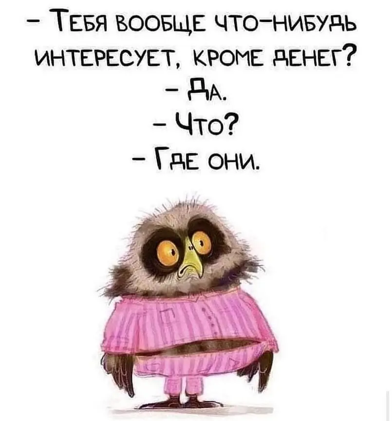 Вопрос от начальника | Сетка — социальная сеть от hh.ru