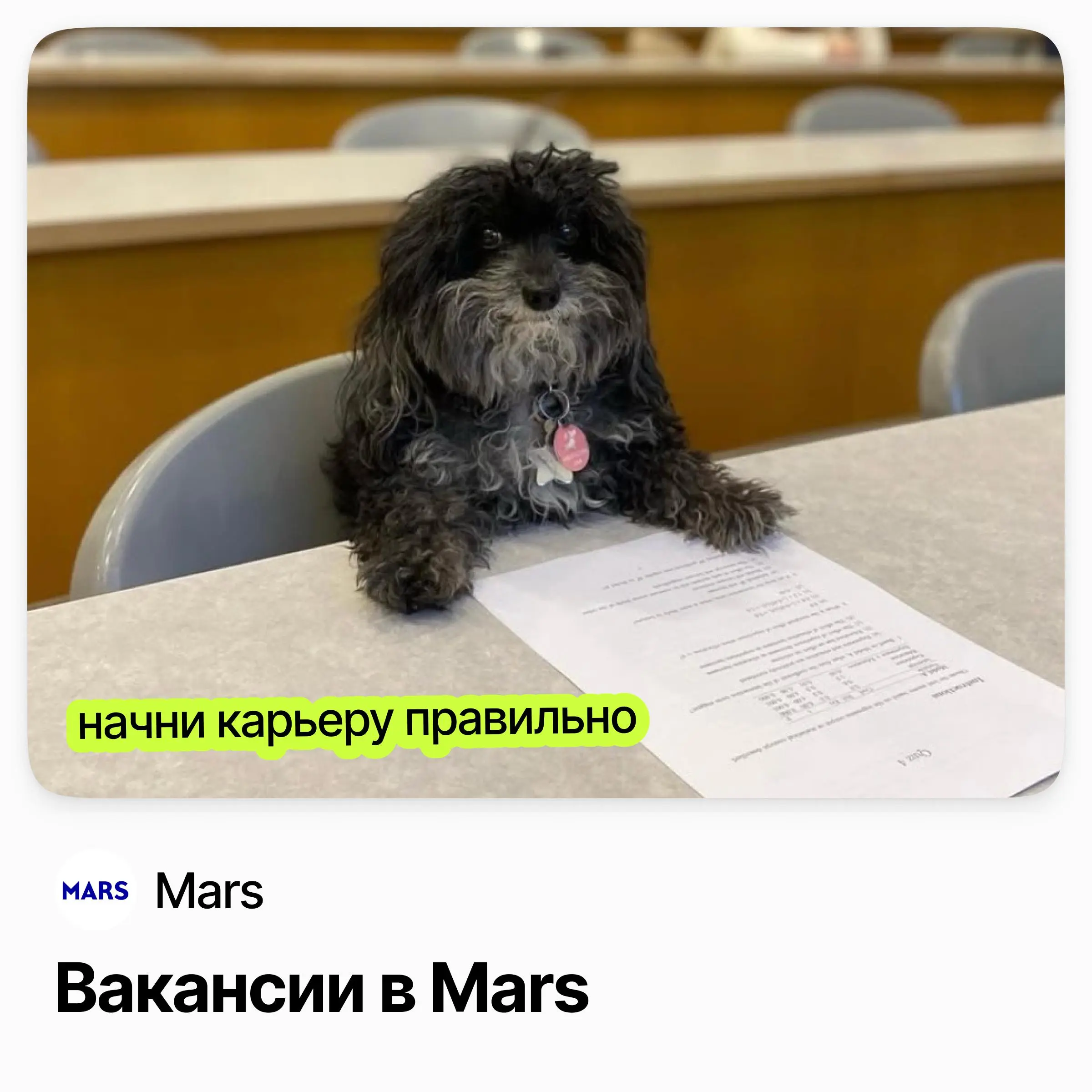 🍫 Лидерская программа Curiosity в Mars — три направления
Curiosity — двухлетняя оплачиваемая программа развития в Mars с выходом на ключевые роли и работой над всемирно известными брендами | Сетка — социальная сеть от hh.ru