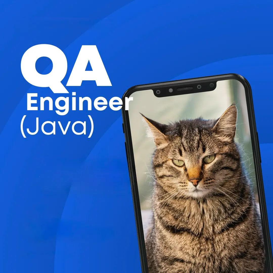 🚀 Мы ищем QA Java | Сетка — социальная сеть от hh.ru