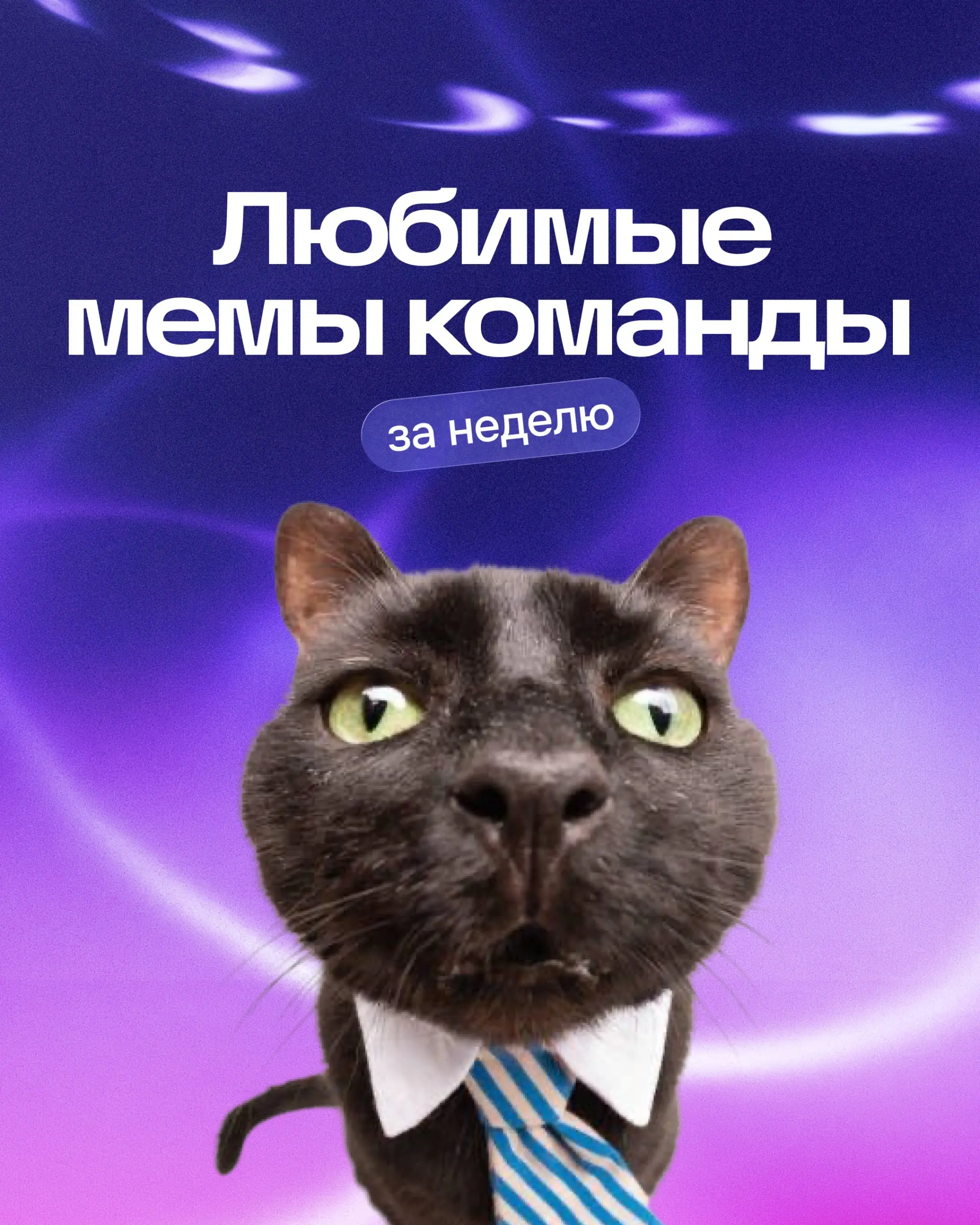 👍 Один мем вам или два другому?
Собрали подборку приколов от команды. Теперь ваша очередь — делитесь своими в комментариях! | Сетка — социальная сеть от hh.ru