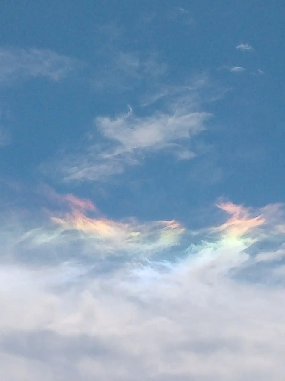 🌈 Жители Кавказских Минеральных Вод сегодня наблюдали редкое природное явление — окологоризонтальную дугу, которую также называют «огненной радугой»
Это один из видов солнечного гало | Сетка — социальная сеть от hh.ru