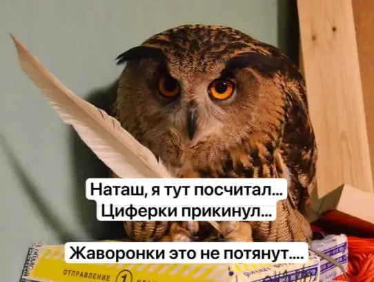 Зачем нужен калькулятор трудозатрат тестов (НТ) | Сетка — социальная сеть от hh.ru